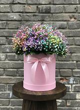 Цветочная композиция из Гипсофила и Розы в шляпной коробке в Поселке Биокомбината