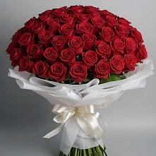 Букет 101 Красная роза Блэк Мэджик в Поселке Биокомбината
