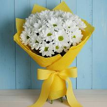 Букет цветов из:  Хризантемы в Поселке Биокомбината
