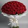 Букет 101 Красная роза Блэк Мэджик в Поселке Биокомбината