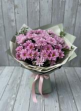 Букет цветов из:  Хризантемы в Поселке Биокомбината