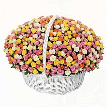 Премиум букет из: Розы в Поселке Биокомбината