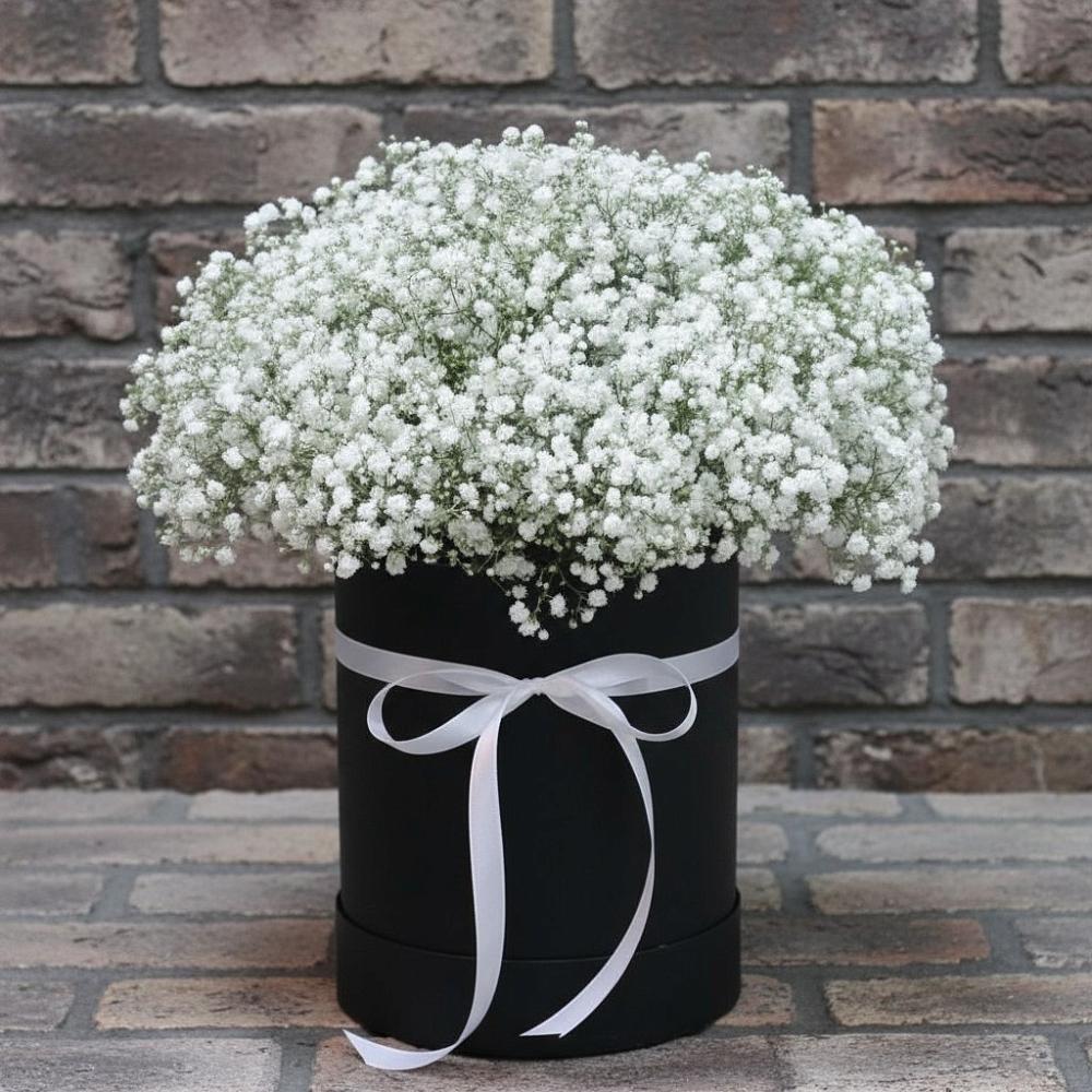 Цветочная композиция из Гипсофила в шляпной коробке в Поселке Биокомбината