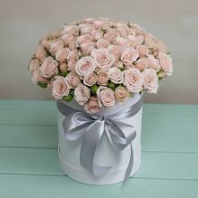 Цветочная композиция из Розы в шляпной коробке в Поселке Биокомбината