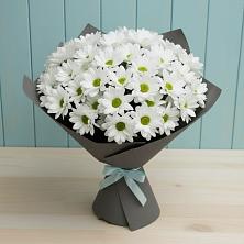 Букет цветов из:  Хризантемы в Поселке Биокомбината