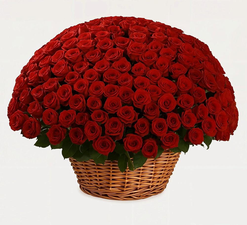 Премиум букет из: Розы в Поселке Биокомбината