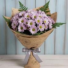Букет цветов из:  Хризантемы в Поселке Биокомбината