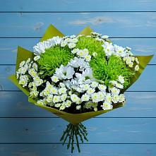 Букет цветов из:  Хризантемы в Поселке Биокомбината