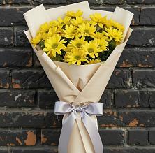 Букет цветов из:  Хризантемы в Поселке Биокомбината