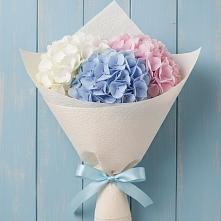 Букет цветов из:  Гортензия в Поселке Биокомбината