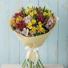 Букет цветов из:  Альстромерии #REPLACE_PRED# Поселке Биокомбината