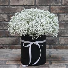 Цветочная композиция из Гипсофила в шляпной коробке в Поселке Биокомбината