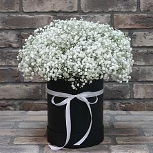 Цветочная композиция из Гипсофила в шляпной коробке в Поселке Биокомбината