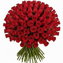 Букет Красные розы Чери Лав в Поселке Биокомбината