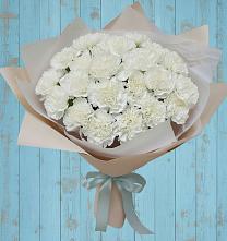 Букет цветов из:  Гвоздики в Поселке Биокомбината